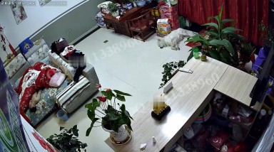 黑客破解家庭网络摄像头偷拍晚上打烊夫妻在店铺客厅的简易沙发床上做爱媳妇还不错给刮胡子