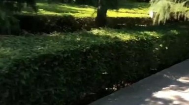 浆果儿大街上露出 全裸宅舞